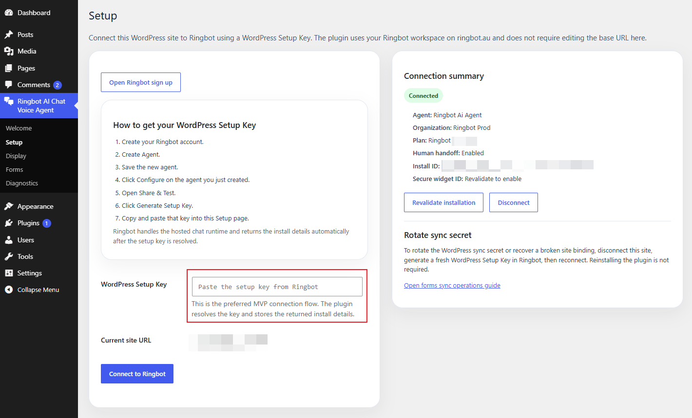 Paste API Key and Save inside WordPress Settings
